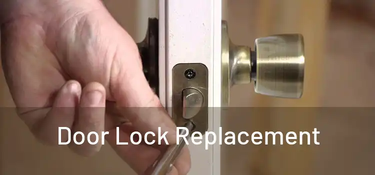  Door Lock Replacement 